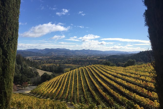 6-Hour Private Napa Wine Tour in a Lincoln MKT Crossover (up to 4 Passengers) - Customized for All Visitors