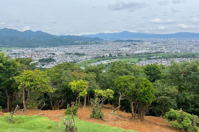 8 Hours Arashiyama Monkey Park Ryoanji and Kinkaku Ji Tour - Group Size and Pricing