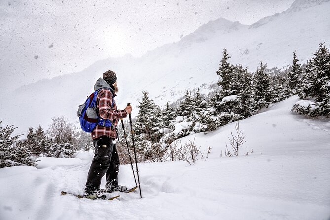 Advanced Snowshoeing Adventure - Participant Reviews and Feedback