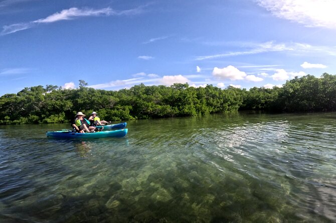 Adventure and Wildlife Watch Kayak Rentals in Sarasota - Booking Information and Pricing