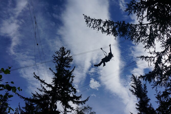 Adventure Parks & Zipline Tour - Review Highlights