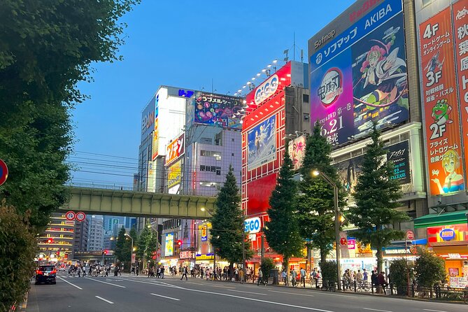 Akihabara Half Day Walking Tour With Otaku Licensed Guide - Experiencing the Otaku Lifestyle