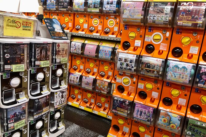 Akihabara Private Custom Tour With Pickup - Pricing and Reviews