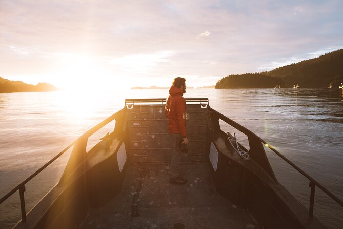 Alaska Wildlife Tour in Kachemak Bay - Booking Information