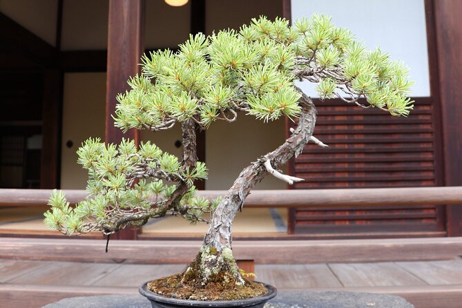 ALL INCLUDED:Short Exclusive Hidden Kyoto Private Tour With Local - Highlights of the Kyoto Tour