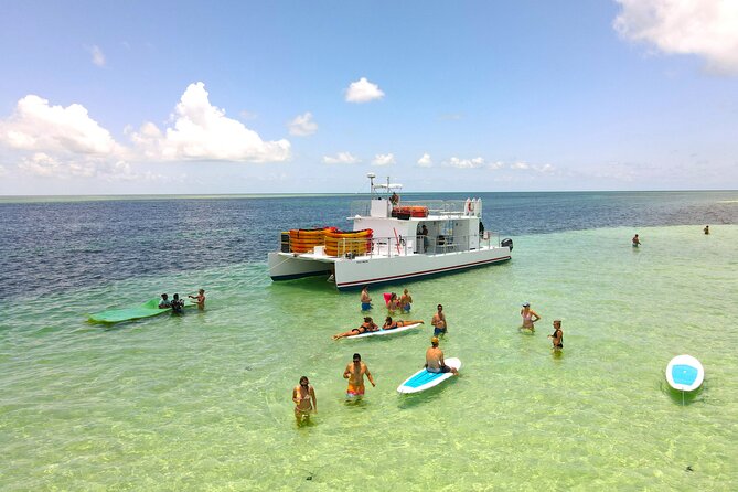 All Inclusive Kayak Eco-Tour: Mangrove and Sandbar Adventure - Participant Experiences and Feedback