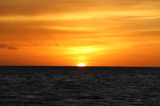All-Inclusive Sunset Dolphin Watch and Snorkeling Cruise - Important Considerations for Travelers