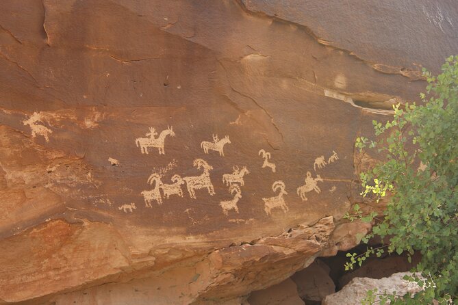 Apache Trail Private Half-Day Tour - Cancellation and Booking Policies