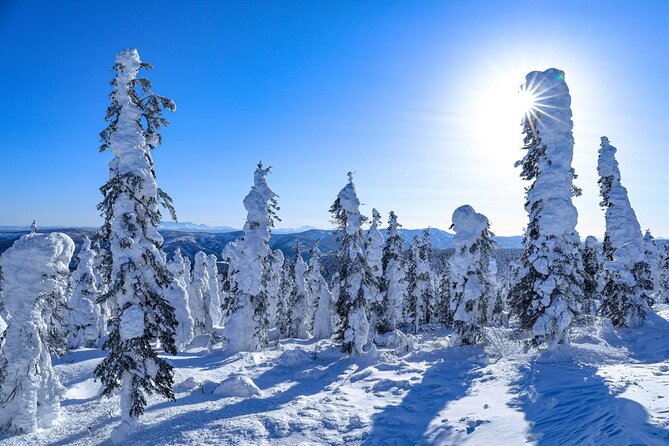 Arctic Circle Day Tour Adventure - Wildlife and Scenery Highlights
