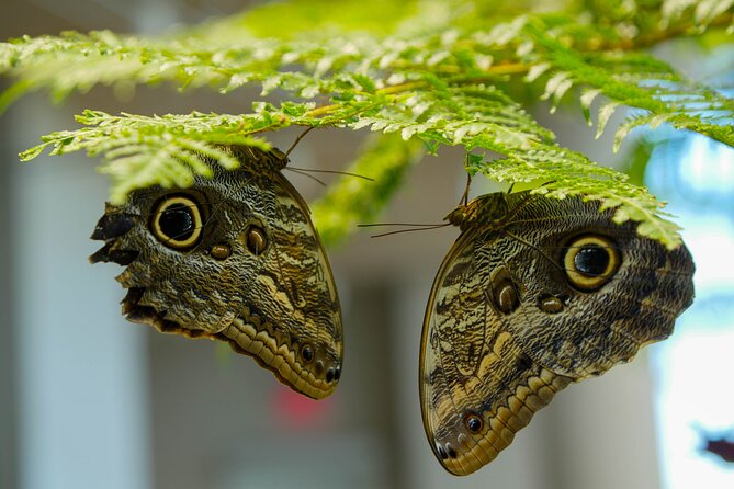 Audubon Aquarium & Insectarium Ticket - Virtual Reality Experience