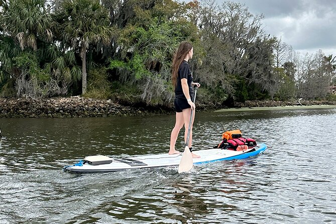Backland Alligator Electric Paddle Tour - Safety Guidelines and Traveler Recommendations