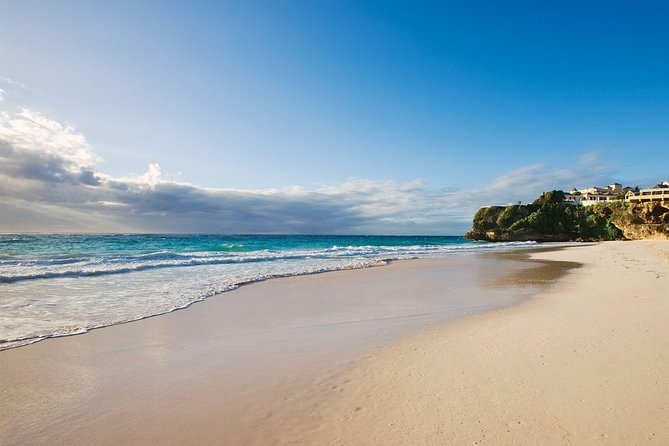 Barbados Half Day Coastal Sightseeing Private Tour - Guest Reviews and Feedback