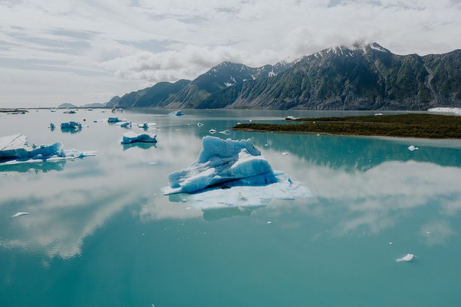 Bear Glacier Scenic Signature Flight - Safety and Logistics