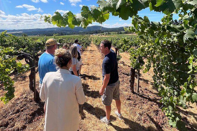 Bed and Breakfast Wine Tour - Small Group, Joinable/Sharable - Hear From Our Happy Guests: Reviews and Ratings
