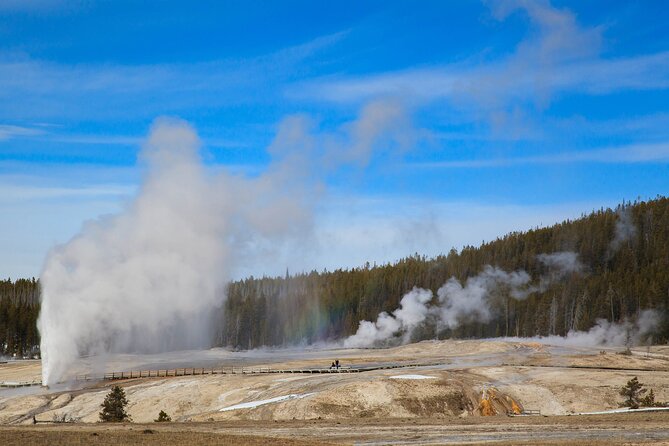 Best of Yellowstone National Park From Gardiner - Private Tour - Guest Testimonials