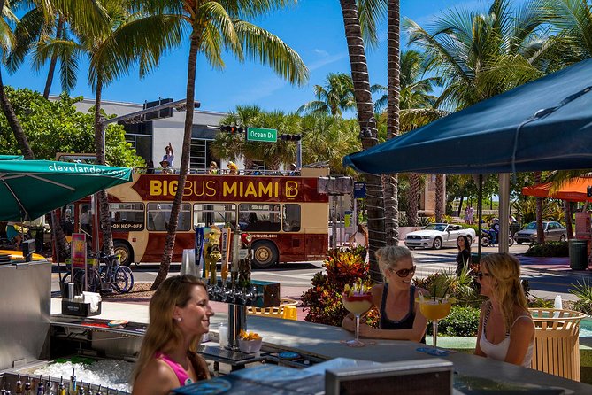 Big Bus Miami: Hop-On Hop-Off Sightseeing Tour With Cruise Option - Boat Cruise and Everglades Tour Options