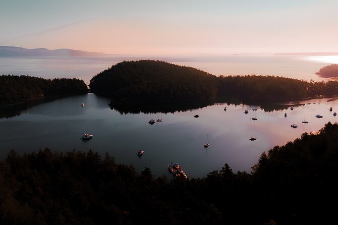 Bioluminescence and Sunset Kayak Tour in the San Juan Islands - The Sum Up