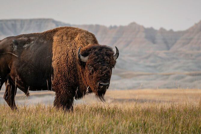 Black Hills Self Guided Driving Audio Tour - Booking and Setup Instructions