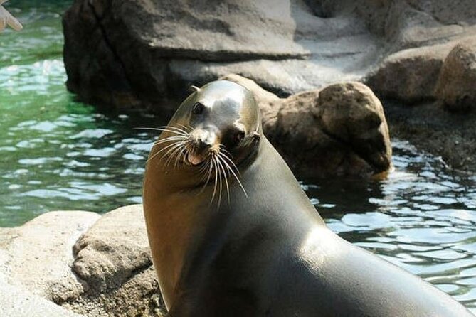 Bronx Zoo Admission Ticket - Pricing and Booking Information