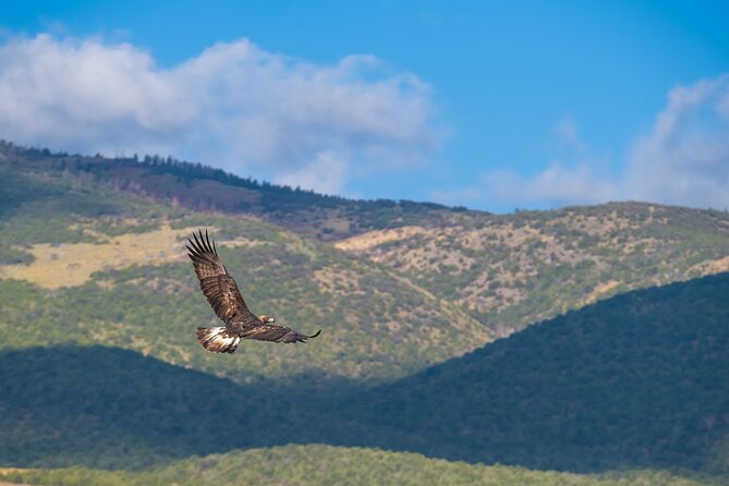 Capitol Reef National Park Self-Guided Driving Audio Tour - Important Information and Updates