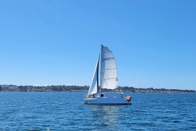 Catamaran Sailing Cruise in Monterey - Customer Reviews and Recommendations
