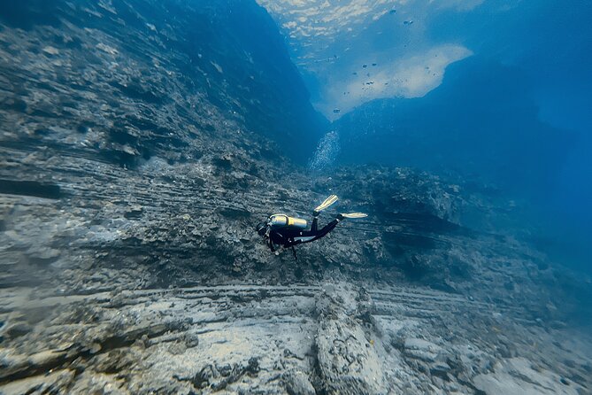 Certified Scuba Diving Experience in Honolulu - How to Book Your Scuba Diving Adventure