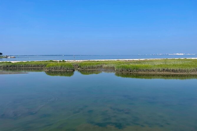 Charleston Bird Watching Tour - Health and Accessibility Considerations