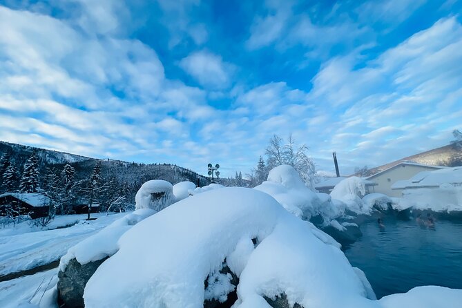 Chena Hot Spring Day Tour - Traveler Reviews and Feedback