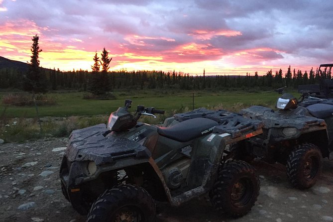 Classic ATV Adventure With Back Country Dining - Stunning Scenery and Wildlife Encounters