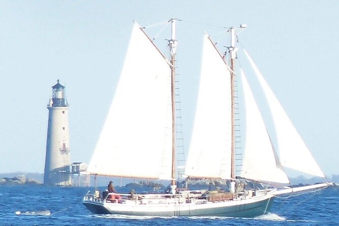 Classic Tall Ship Sightseeing Cruise of Boston Harbor - Crew and Customer Feedback