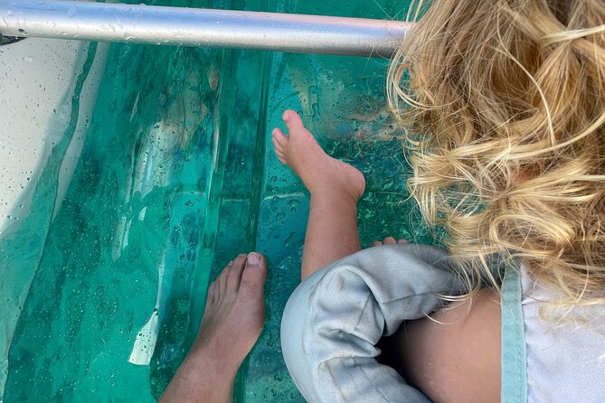 Clear Bottom Glassy Kayak Rental | MAUI | Safe and Stable Kayaks - Unique Marine Life Encounters