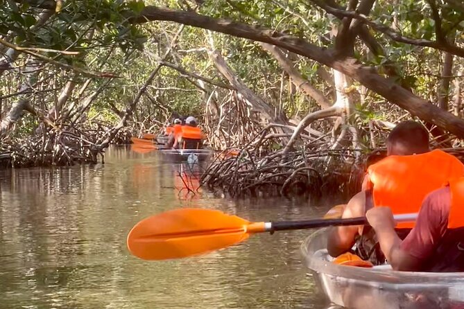 Clear Kayak Private Guided Day and Night Tours in Florida - Flexibility and Customization of Tours
