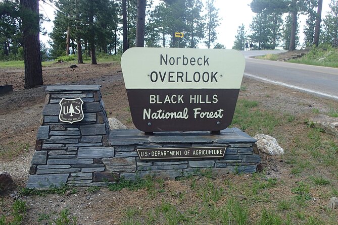 Day Trip of the Black Hills: Mount Rushmore to Custer State Park! - Unique Features and Personalized Attention