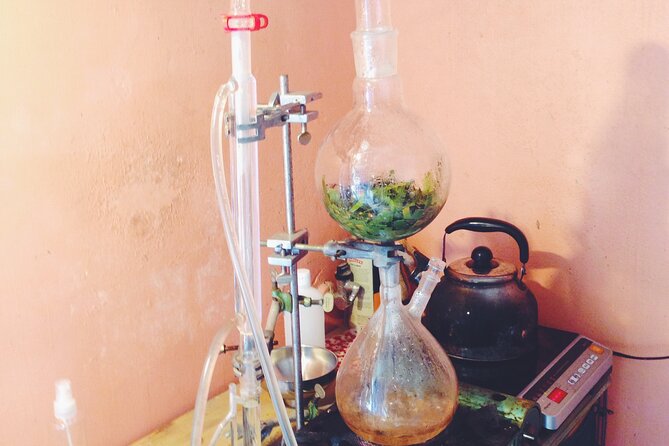 Distillation of Okinawa Herb Essential Oil and Herbal Water - Participant Information