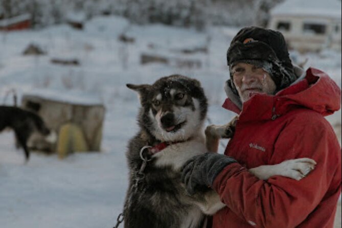 Dogsled Rides - Reviews and Customer Experiences