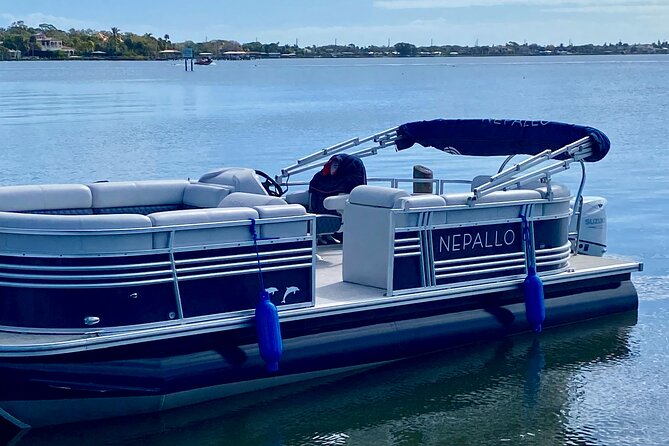 Dolphin and Manatee River Cruise Melbourne, Fl. 1030 - Wildlife Sightings During the Cruise