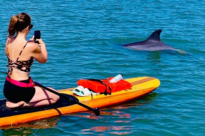 Dolphin, Manatee and Sea Turtle Kayak Adventure - Recommendations and Suggestions
