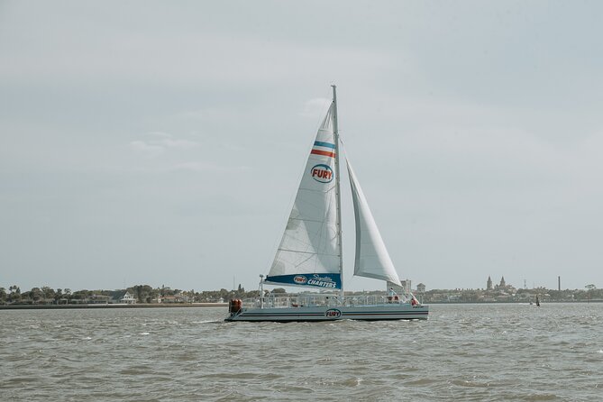 Dolphin Watch & Historical Harbor Tour in St. Augustine - Tour Highlight: Dolphin Sightings