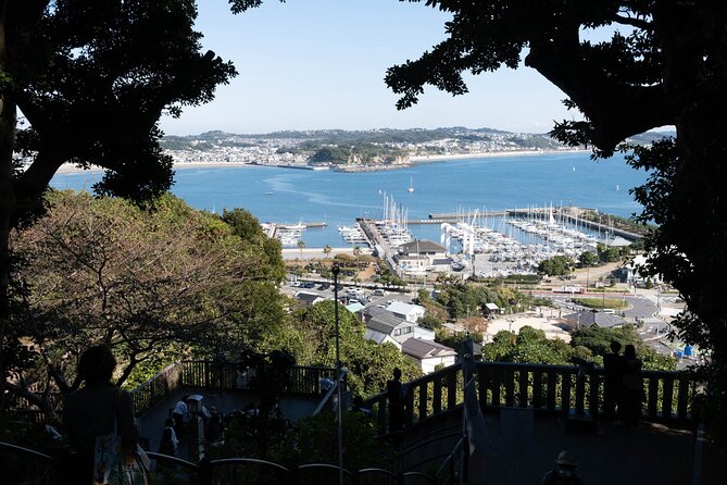 【Two Days Kamakura Tour】with Hotel Accommodation - Booking and Cancellation Policy