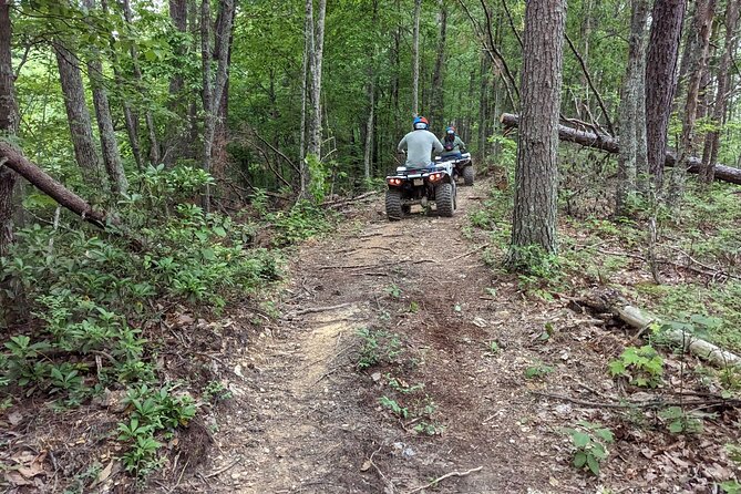 East Tennessee Off Road ATV Guided Experience - Reviews and Feedback