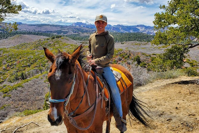East Zion Pine Knoll Horseback Ride - Guided Tour With Expert Wranglers