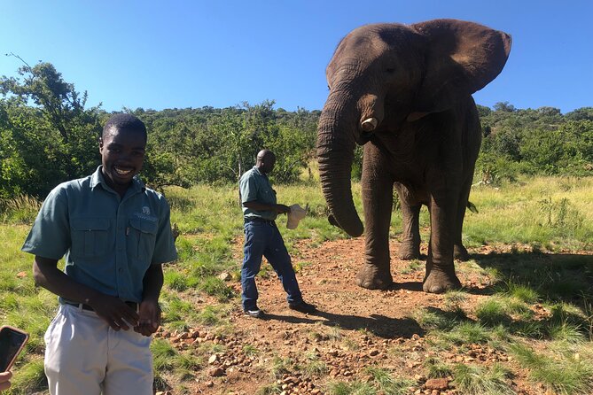 Elephant & Monkey Sanctuary Tour From Johannesburg - Positive Guest Feedback