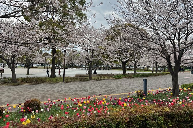 English-Speaking Guided Day Tour of Tokyo With a Private Vehicle - Itinerary Highlights
