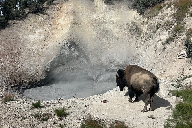 Epic Yellowstone Private Tour - Pricing and Cancellation Policy