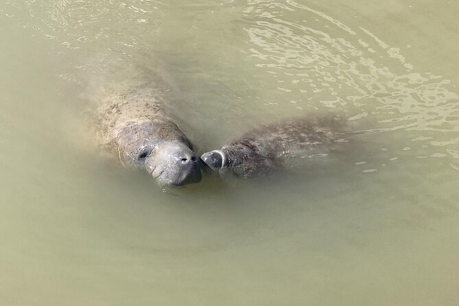 Everglades National Park: 3 Hikes + 90 Minute Boat Tour + Lunch - Booking Information and Options
