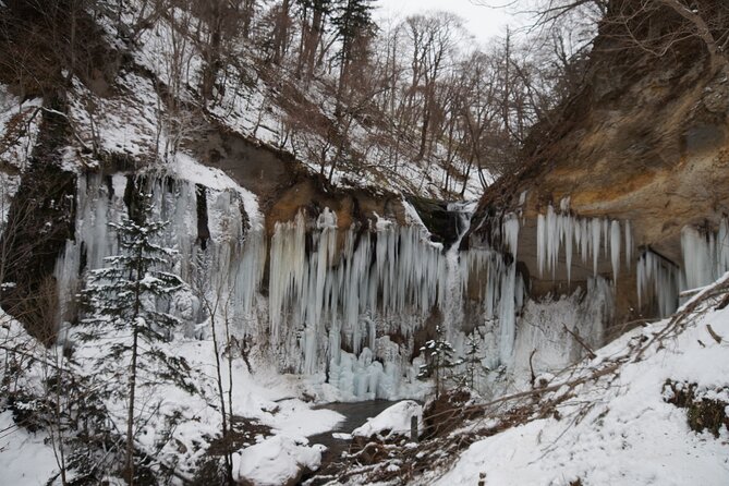 Exclusive Evening Trekking Tour to the Frozen Nanajyo Waterfall - Tour Schedule and Availability