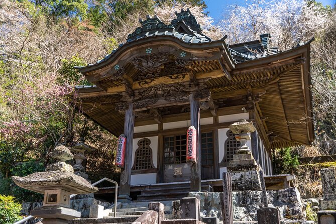 Exclusive Private Zen and Cultural Tour From Shimizu Port - Private Transportation and Comfort