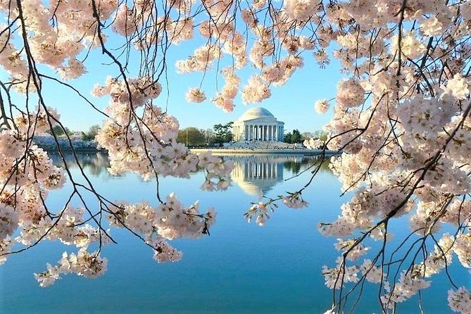 Exclusive Washington DC Private Tour – Up to 12 Guests - Expert Guides for a Personalized Experience