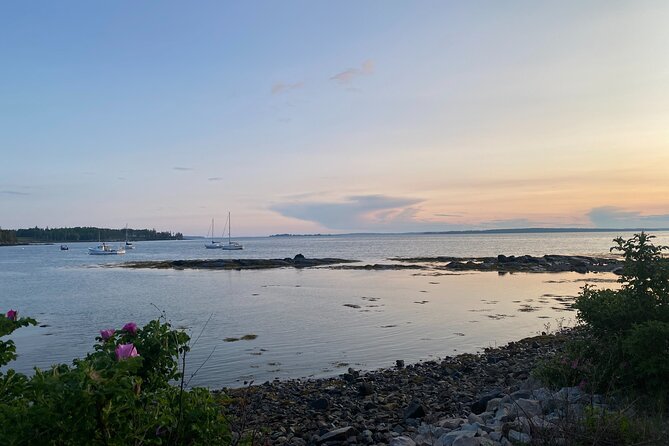 Experience Acadia: Private 3-Hr Tour With Local Guide. - Highlights of Acadia National Park