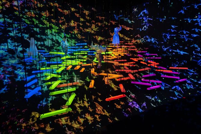 Experience TeamLab Planets in Tokyo - Immersive Art Installations